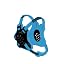 Black/Col. Blue/Col. Blue
