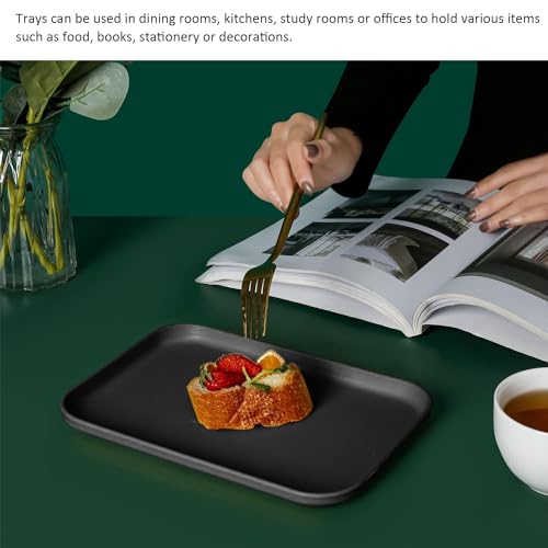 2 Stück Schwarze Tabletts, Rechteckige Tabletts, Aufbewahrungsregale, Ovale Ornamente, Schmuckdekorationstabletts, Ablagetabletts Für Die Arbeitsplatte