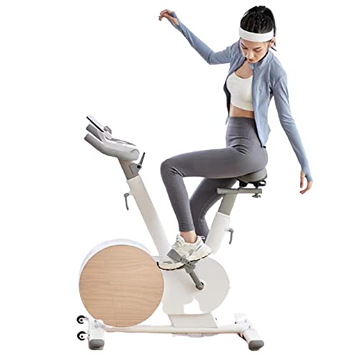 Image of Exercise Bike, Spinning Bike, Control Knob, with Comfortable Seat Cushion, 240KG Load-Bearing, Indoor Mute Intelligent Small Exercise Bike