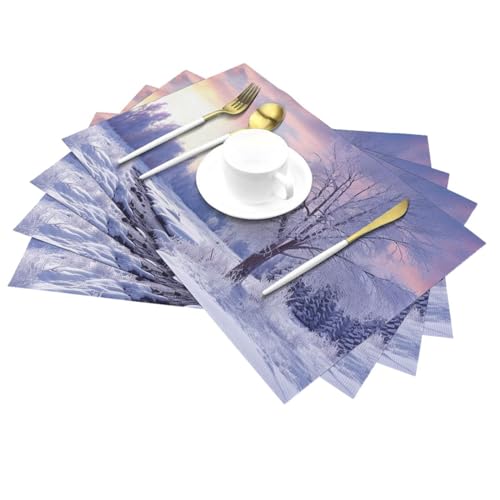 Lot de 6 sets de table lavables pour repas intérieur extérieur - 4