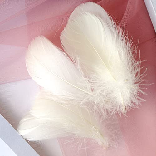 100 Pieces Beige Natural Goose Craft Feathers Bulk, 3-5Inch Colorful Small Feathers for Holloween Costumes Thanksgiving Mask Arts Crafts Projects Home Decoration