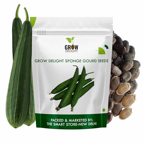 Image of Sponge Gourd (Nenua) (20 Seeds) Vegetable Seeds for Home Garden, Organic & Hybrid, Perfect for Home Gardening, Planting For Pots and Patio