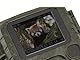 Technaxx Wildkamera mit Bewegungsmelder Nachtsicht Funktion - PIR-Sensor, IR LEDs für Nachtaufnahmen, Full HD Video-, Foto-, 1.9 Display, Auslösezeit 0,6 Sek. - Testsieger Wild Cam TX-117, 12 MP