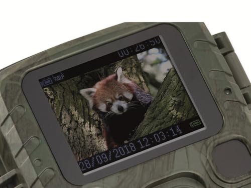 Technaxx Wildkamera mit Bewegungsmelder & Nachtsicht – Full HD 1080p Wildtierkamera mit PIR-Sensor, IR-LEDs für Nachtaufnahmen, 12 MP Fotos, 1,9” TFT Display – Testsieger Nature Wild Cam - TX-117