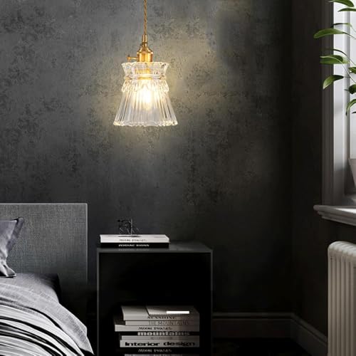 Lámpara colgante estilo industrial con casquillo E27 de cristal 2