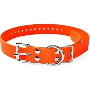 Educator Biothane Dog Collar, Waterproof, Odorproof, Metal Buckle and D Ring, Adjustable for Custom Fit, Cool and Comfortable, for Small, Medium, or Large Dogs, 3/4-Inch, Orange