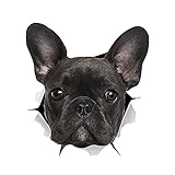 📈Umweltschutz und Haltbarkeit: Autoaufkleber lustiger Hund, aus PVC-Material, wasserdicht, es ist für den Gehirngebrauch auch unter rauen Außenbedingungen haltbar.