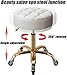 JYPIINFS Adjustable Rolling Stool with Back Support & Wheels Round Hydraulic Swivel Chair for Beauty Salon Spa Tattoo Metal Titanium Gold Counter Work Stool Ergonomic Design for Comfort(Black)