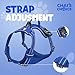 Chai's Choice Dog Harness Vest Large (Royal Blue) | Comfortable & Secure with Adjustable Strap Soft Padded Dog Vest | No-Choke & Easy Control Pet Oxford | 3M Reflective Stripes for Dog Visibility