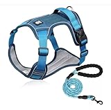 UNA MASCOTA Pechera Arnés De Seguridad para Perro Mediano Y Grande con Correa 1.5m (Azul, M)