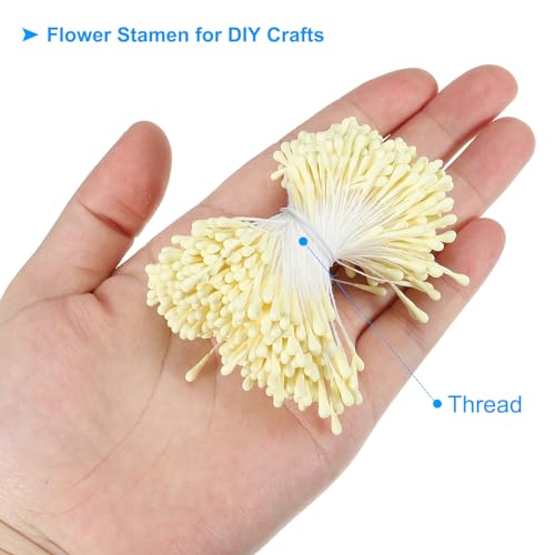 PATIKIL 2mm Double Heads Flower Stamen - Image 3
