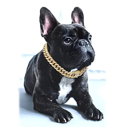 Dog Chain Collars, Cuban Link Chain for Dogs Jewelry Diamond Necklace Metal Bling Choke 13mm Wide Pet for Puppy Small Medium Large Dogs Cats Gold (8inch)
