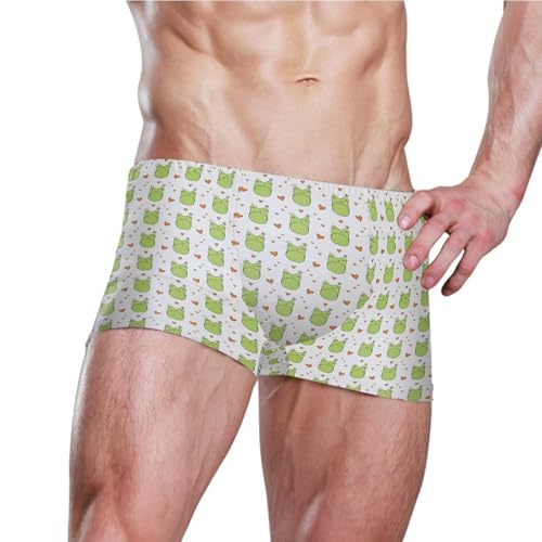 Cute Frog Mens Swim Trunk Swimwear Bathing Suit Swim Brief Square Leg Board Short S B04052173