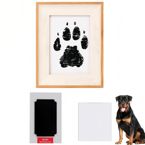 Lifetips bgC[iRottweilerj ybgp  X^v Lbg ^  ``X^v `쐬Lbg LO  Ȃ `    ` ^ ȒP S y Ճpbh IWi vg ]