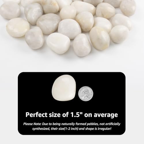 Image of 20lbs River Rocks - 1-2Inch Decorative Rocks for Potted Plants, River Rocks for Aquariums, and White Rocks for Landscaping (Weight : 20 LB, White)