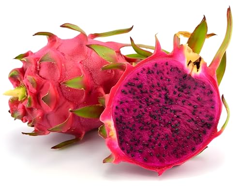 Image of Dragon Fruit Live Plant (Pink /Red) in Grow-Bag Suitable for Pots, Terrace, and Outdoor Farming Use, Pack of 1