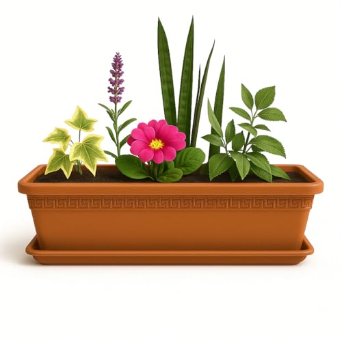 Jardinera de plástico con Plato, Macetero Jardín, Incluye Plato, Fabricado en Polipropileno, Apto balcón, Patio, Interior/Exterior, 60 cm Largo x 16.5 cm Alto x 18 cm Fondo, Terracota