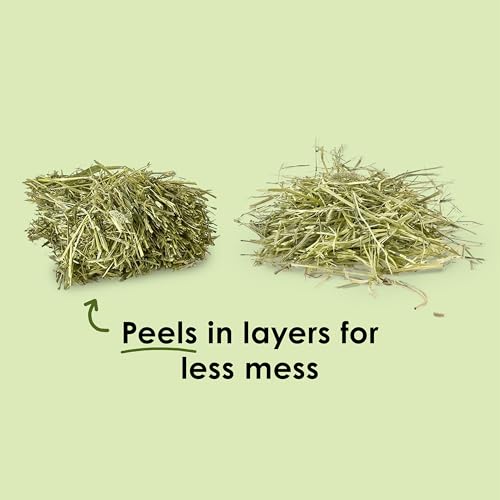 Image of Kaytee Wafer Cut Timothy Hay for Rabbit & Guinea Pigs, 60 Ounce | Less mess. Rabbit hay peels in layers. High fiber, guinea pig food