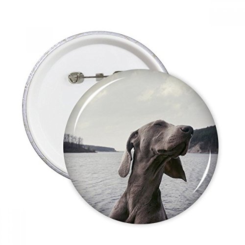 Pins badge chien gris pour masquer un trou ou décorer un vêtement triste