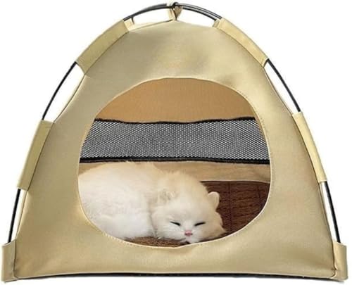 Citybabyėp L eg bV̑t ʋC  p Lp  났 Xy[X ΍ 􂦂 傫 h[^L nEX }bgXt ϋv ς O\ 􂢉\ ʔN ybgnEX VF^[p g