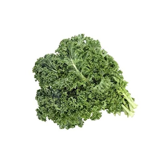 Kale"Halbhoher grüner krauser" - 300 semillas