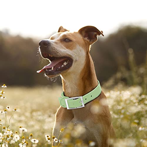 Wisedog Waterproof Dog Collar: Multiple Adjust 7" to 23.6", Soft Rubber Coated Webbing and Easy to Clean for Small Medium Large Dogs (M|12"-16" × 4/5 in, Sage Green) by Wisedog - Image 5