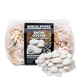 North Spore Tapones de hongos orgánicos de ostra de nieve (500 unidades) para troncos | Seta de alta calidad | Hecho a mano en Maine, Estados Unidos | Cultiva hongos gourmet al aire libre en troncos
