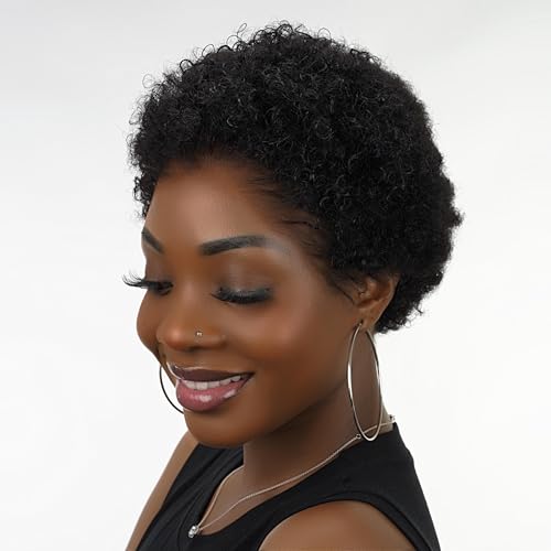 DULTEV 13x6 Glueless Pixie Cut Wigs 009 for Women 180% Density Lace Front Layered Luxury Beauty HD Human Hair Wig (Natural, Pixie Cut 009)