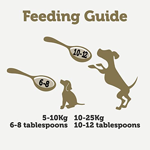 Applaws Taste Toppers 100% natürliche Hundefutter Topper, Hühnerbrühe für trockene Hundefutter 6 x 200g Beutel