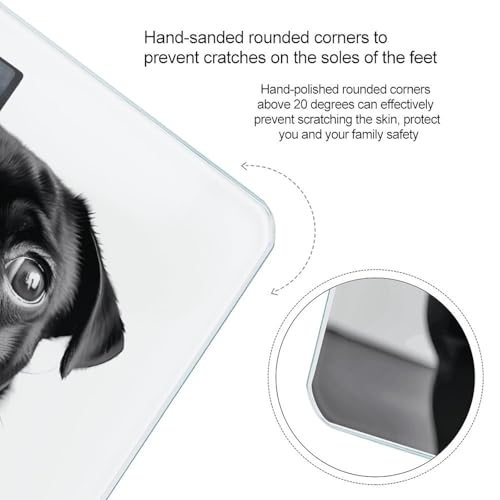 Báscula digital para peso corporal diseño perro pug negro miniatura 4