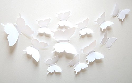home best butterfly wall art