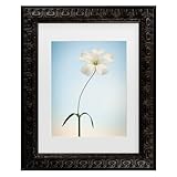 Trademark Fine Art Framed Wall Art - Lotte Gr nkj r 'Tiny White' Wall Decor with Matted Frame