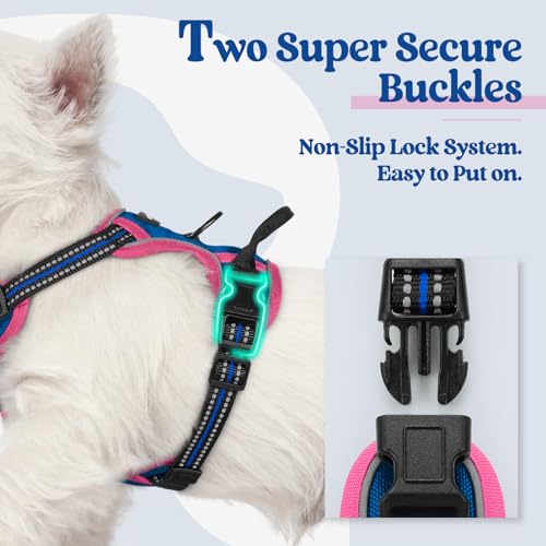 Image of rabbitgoo Dog Harness No Pull with 2 Leash Clips, Adjustable Soft Padded, Reflective Oxford No Choke Pet Vest with Easy Control Handle for Large Dogs, Blue & Hot Pink, XS