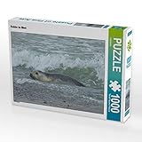 helgoland seehunde fotografieren Puzzles sind unterhaltend, fördern Wohlbefinden und stimulieren beide Hälften des Gehirns. Das kann die mentale Leistungsfähigkeit sowie Konzentration und Gedächtnis fördern
