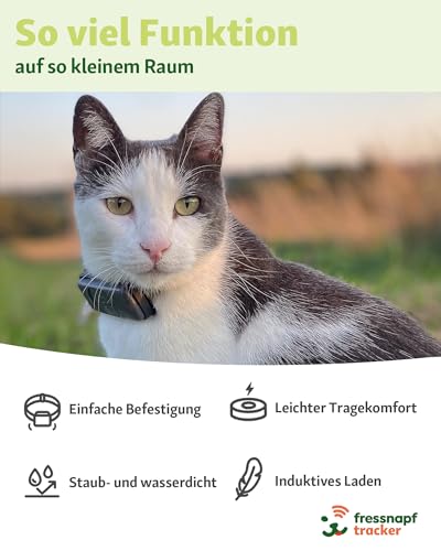 Fressnapf GPS Tracker für Katzen - 2. Generation - Ohne ABO - Ortung ohne Entfernungsbegrenzung - Aktivitätserkennung & Gesundheitsfunktion - Katzenfreundliches Design