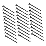 NUOBESTY Schuhnägel Aus Eisen 100 Stück Mit Rundem Kopf Rutschfest Für Schuh Und Stiefelreparatur Ledernägel Vielseitig Für Schuhreparaturen Und Bastelarbeiten