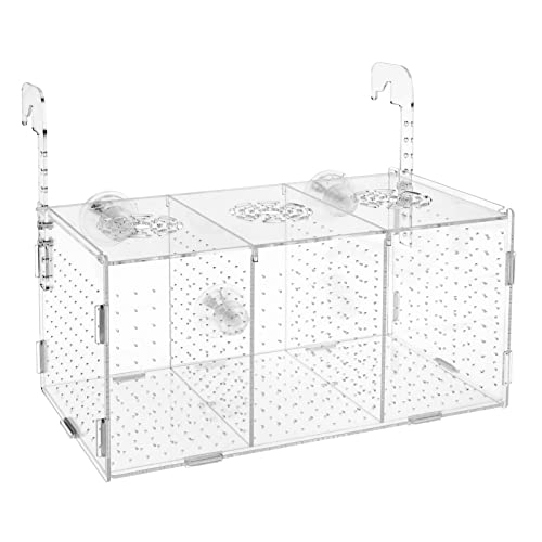 Fischzucht Kasten mit Saugnäpfen, Isolationsbox Aquarium, Acryl Aquarium Isolationsbox, Aquarienfisch-Zuchtbox Transparente Fische Sämlinge Inkubator Brutkasten, Aufzuchtbecken Aquarium für Babyfische