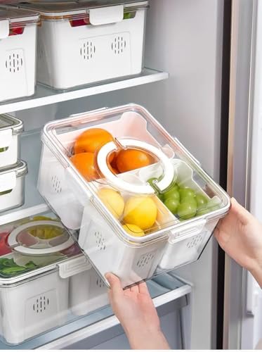 Image of Vasukie Divided Fridge Storage Boxes With 4 Serving Veggie Tray with Lid and Handle, Fridge Organizer with Removable 4 Compartment, Fridge Storage Containers (3 Large Compartment-1PC)