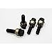 H&R 1456006SW Wheel Bolt, Black