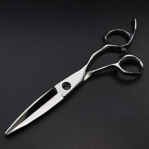 Minicocock 6 Pouces Coiffeur Professionnel Coiffure Lancet en Acier, Coiffeur Professionnel Cheveux Styling (Color : Silver)