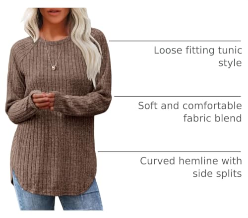 Image of Saloogoe Long Sleeve Shirts for Women 2025 Fall Clothes Tunic Tops Loose Fit Dressy Crewneck Pullover Sweaters Curved Hem
