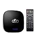 Linkplus A95XF1 Android 8.1 Smart TV Box, Amlogic S905W Quad-core Cortex-A53 2GB RAM/16GB ROM Mali-450 GPU WiFi 2.4GHz Ethernet HDMI 4K Full HD H.265 Media Player, OTT TV Box with USB