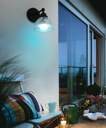 Image of Phansthy Industrial Rechargeable Battery Operated Wall Sconce with Remote Control, Clear Striped Glass Shade Wall Lamp, Vintage Dimmable Indoor Wall Light for Bedroom Living Room Restaurant (Black)