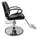 Winado Beauty Salon Barber Chair with 6'' Adjustable Seat Height & 360 Degree Rolling, Supports up to 330 lbs Heavy Duty Hydraulic Salon Chair for Men and Women Hair Stylists, Black