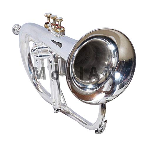 List of Ten Best Flugelhorns [Experts 2023 Reviews]