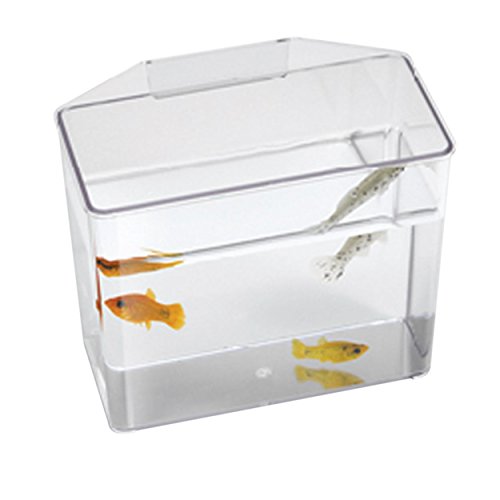 Lee's 18673 Break Resistant Specimen Container, Large,White