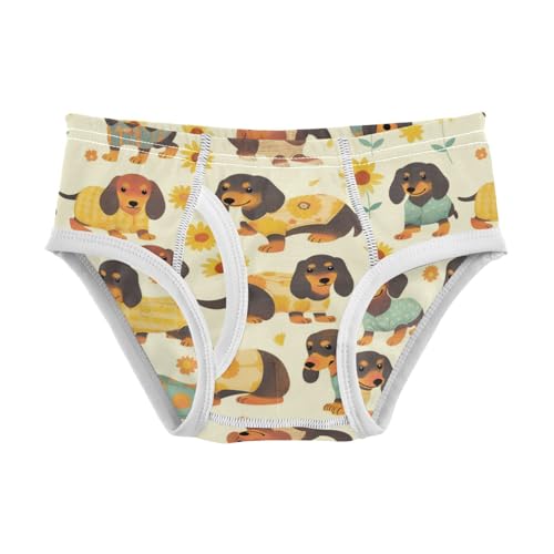 Wusikd Funny Dachshund Boys' Underwear Cotton Dogs Flowers Boys Briefs Soft Toddler Underwear 2T