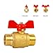 Butterfly Handle Ball 1/2 Inch 6 Inch Double Male Thread Design Suitable for Pipe Systems Industrial Fluid Control Ball