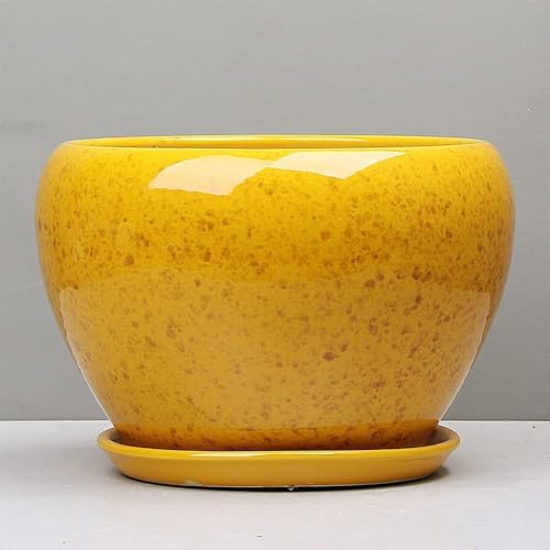 BLOOHK Maceta Moderna de cerámica Amarilla moteada, Maceta Redonda Vibrante esmaltada for Plantas Interior y suculentas, Decorativa con Bandeja Drenaje(16cm*12cm)
