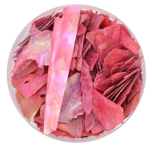 NbV VF pE_[ (bh) L Lk VFt[N v[g lC W p[c Xg[